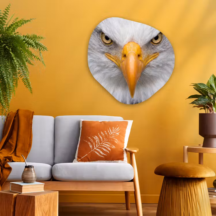 Amerikaans - Zeearend - Portret - Geel Wandcirkel Organisch Aluminium middel -sfeer4