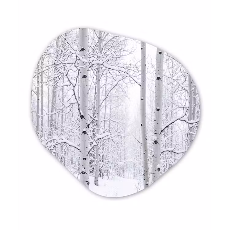 Berkenbomen - Sneeuw - Winter - Bos - Wit Wandcirkel Organisch Aluminium middel -3d