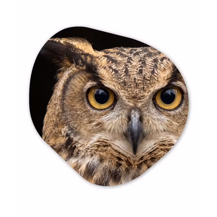 Oehoe - Uil - Portret - Bruin Wandcirkel Organisch Aluminium middel -3d