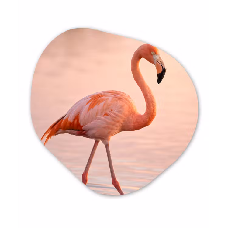 Flamingo - Water - Roze Wandcirkel Organisch Aluminium middel -3d