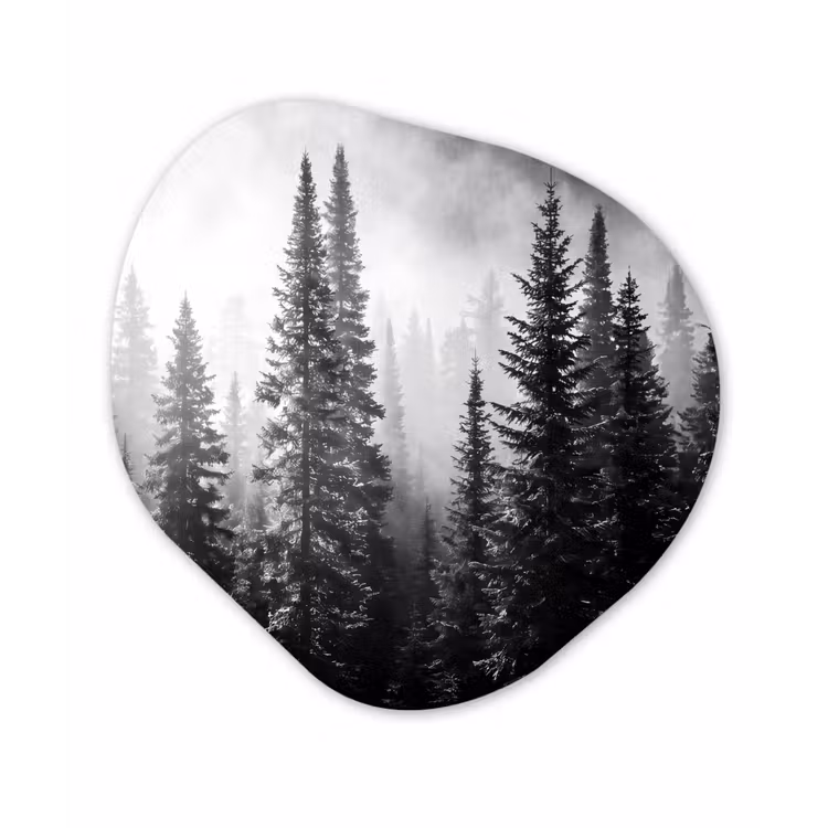 Bos - Mist - Winter - Monochroom - Natuur Wandcirkel Organisch Aluminium middel -3d
