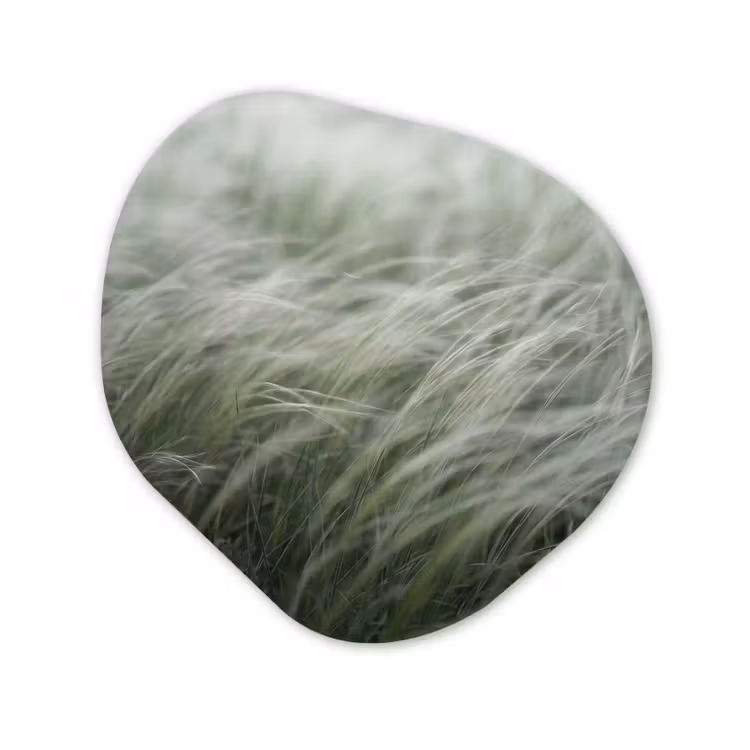Gras - Wazig - Natuur - Groen - Zacht Wandcirkel Organisch Aluminium middel -3d