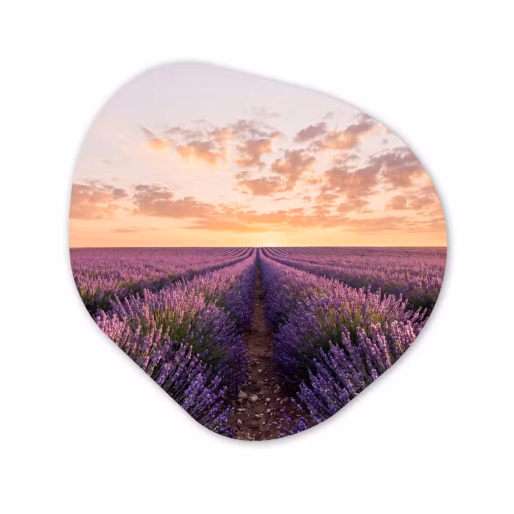 Landschap - Lavendelveld - Paars Wandcirkel Organisch Aluminium middel -3d