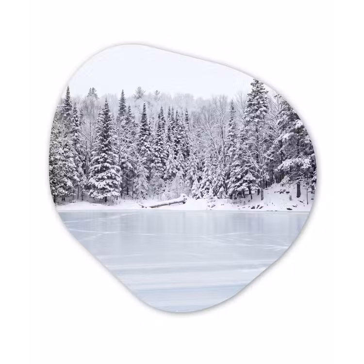 Meer - Dennen - IJs - Winter - Rustgevend Wandcirkel Organisch Aluminium middel -3d