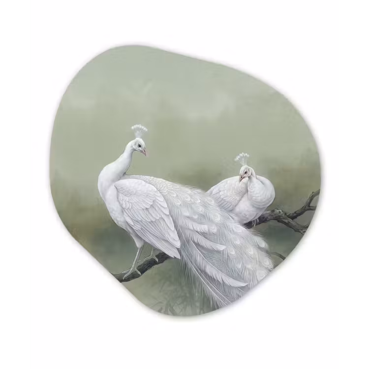 Pauwen - Wit - Natuur - Groen Wandcirkel Organisch Aluminium middel -3d