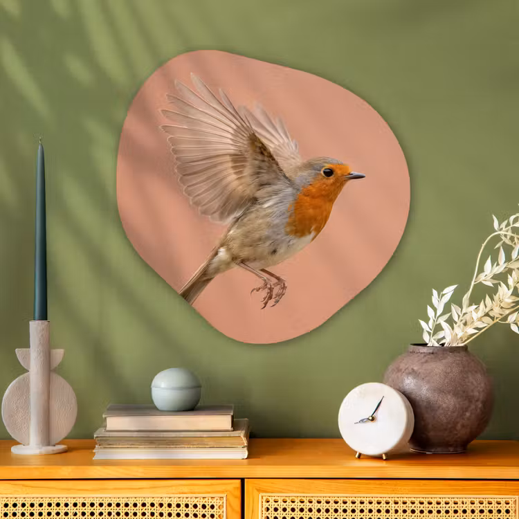 Roodborst - Natuur - Roze Wandcirkel Organisch Aluminium middel -sfeer2