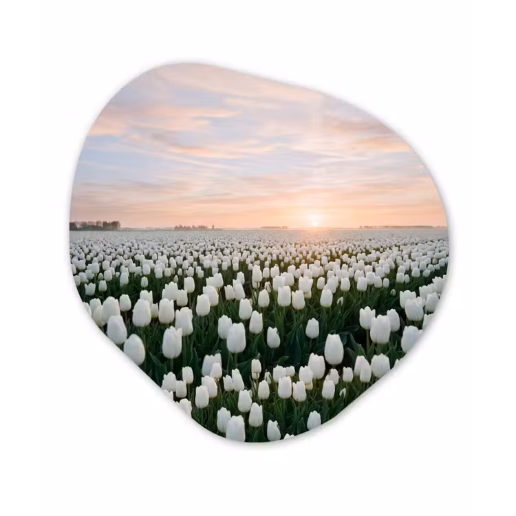 Tulpen - Landschap - Wit Wandcirkel Organisch Aluminium middel -3d