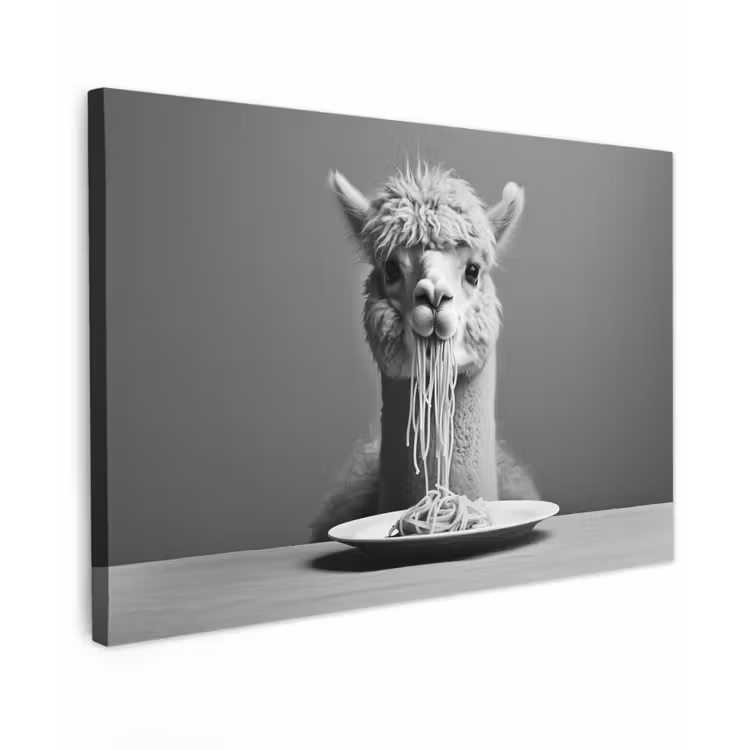 Alpaca - Pasta - Zwart - Wit - Grappig - Dieren Tuinposter op houten frame 2 cm dik klein -3d