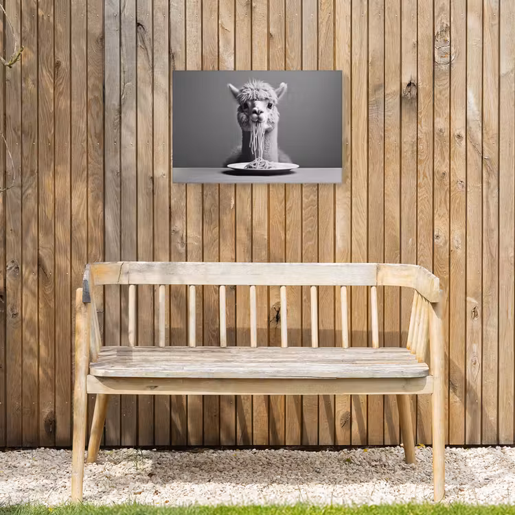 Alpaca - Pasta - Zwart - Wit - Grappig - Dieren Tuinposter op houten frame 2 cm dik klein -sfeer4