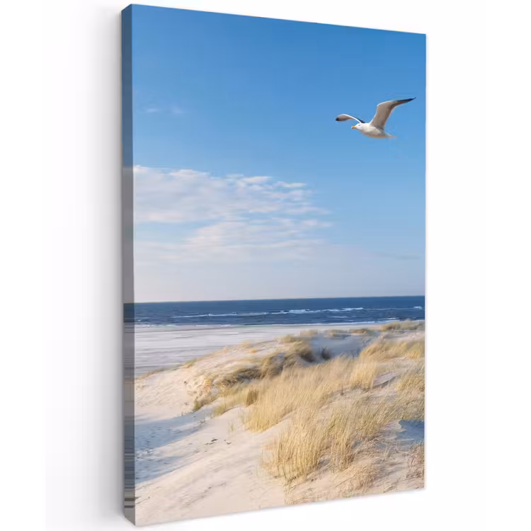 Mooie Strandvlucht Tuinposter op houten frame 2 cm dik klein -3d