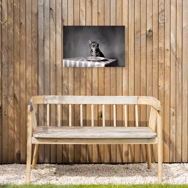 Bengaal - Kat - Tafelkleed - Zwart - Wit - Dier Tuinposter op houten frame 2 cm dik klein -sfeer4