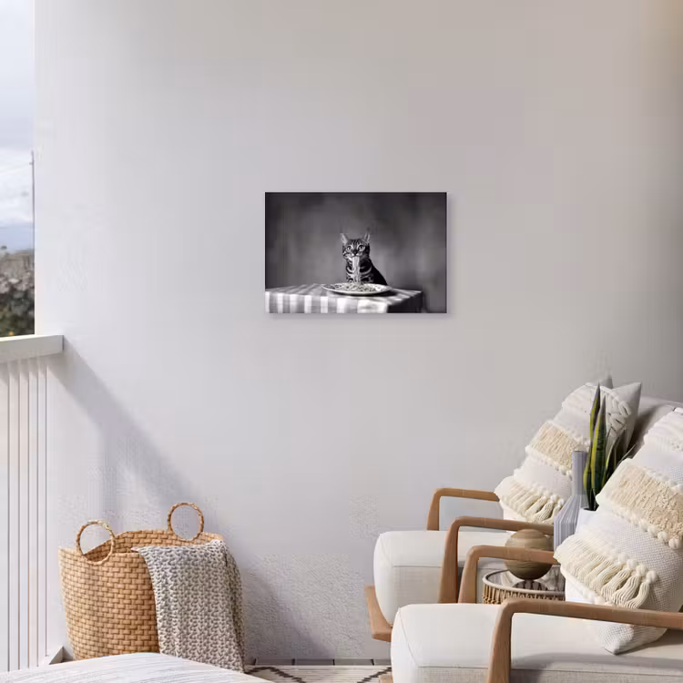 Bengaal - Kat - Tafelkleed - Zwart - Wit - Dier Tuinposter op houten frame 2 cm dik klein -sfeer1