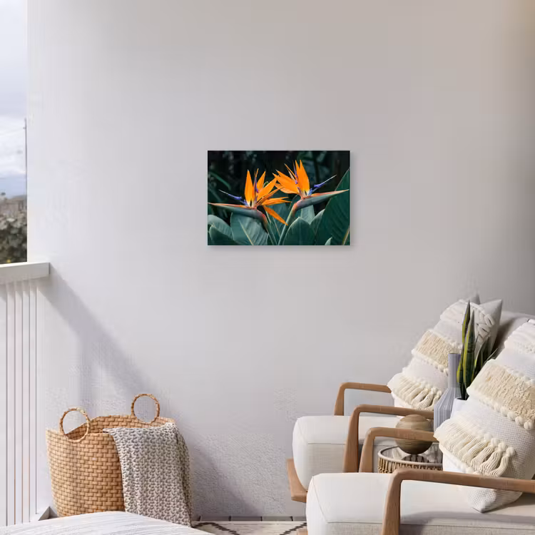 Paradijsvogel - Bloem - Exotisch Tuinposter op houten frame 2 cm dik klein -sfeer1