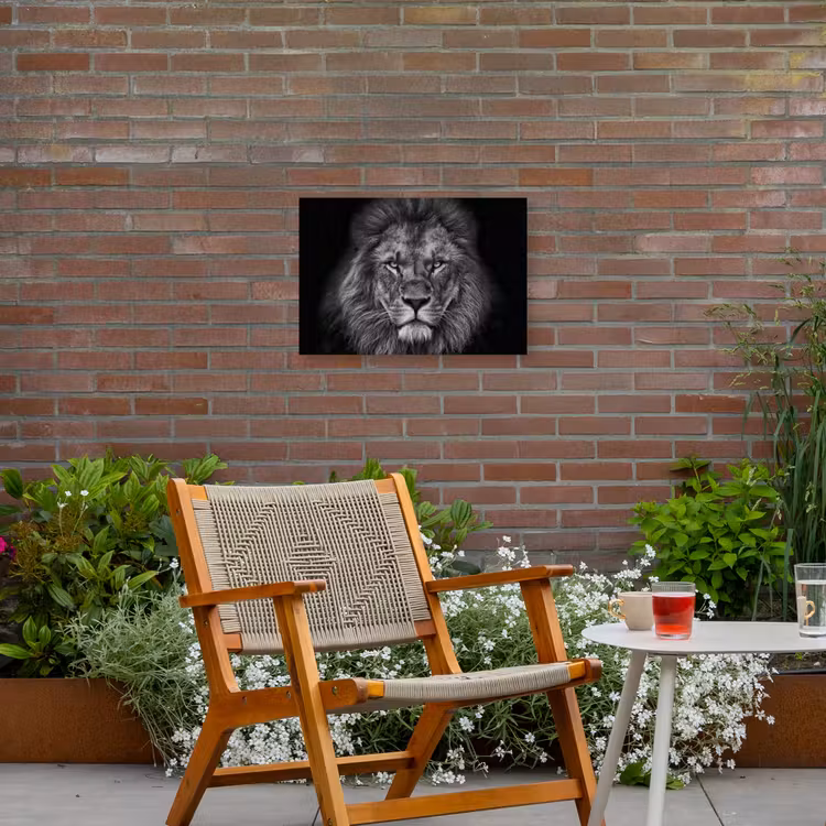 Zwart-wit portret van een leeuw Tuinposter op houten frame 2 cm dik klein -sfeer3