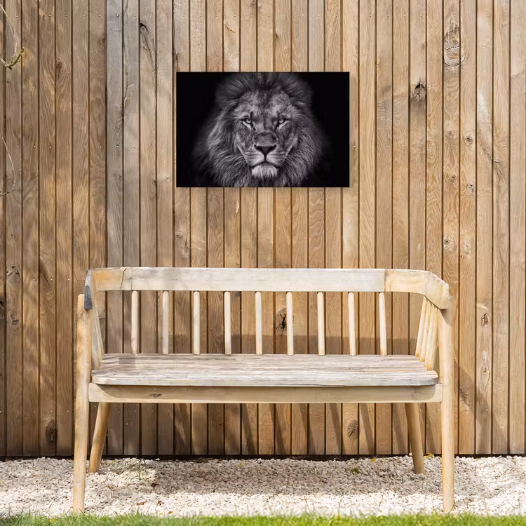 Zwart-wit portret van een leeuw Tuinposter op houten frame 2 cm dik klein -sfeer4
