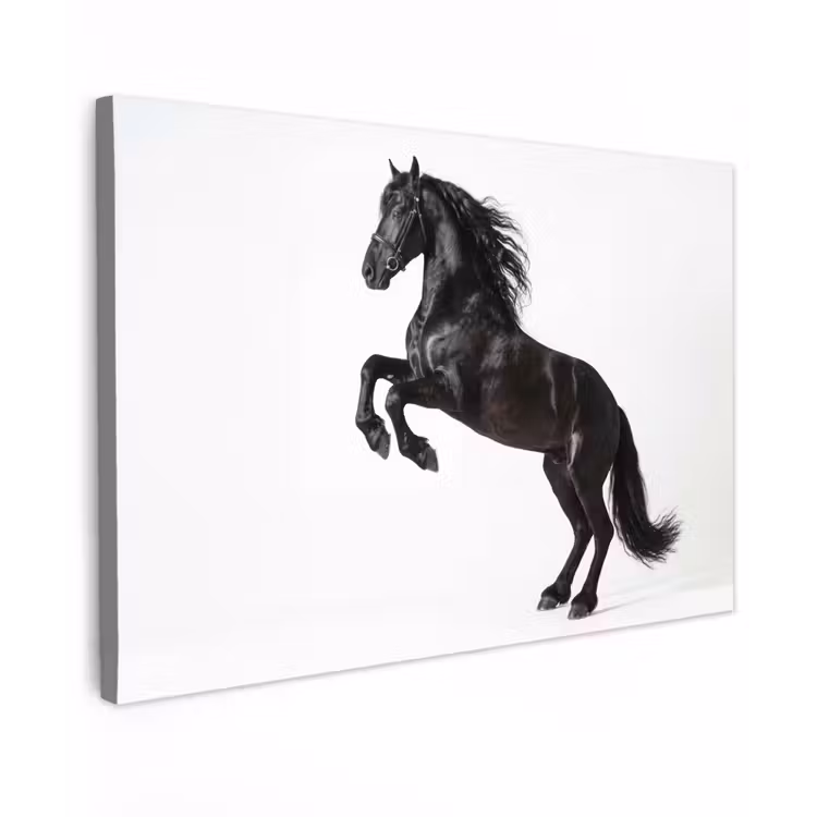 Zwart - Paard - Portret Tuinposter op houten frame 2 cm dik klein -3d