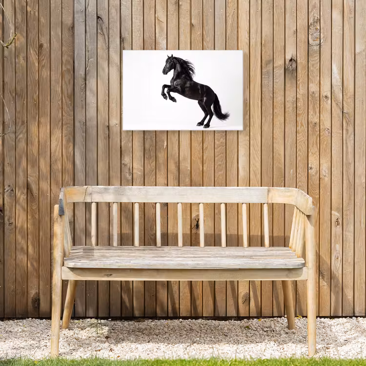 Zwart - Paard - Portret Tuinposter op houten frame 2 cm dik klein -sfeer4