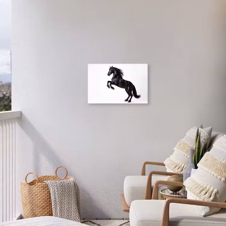 Zwart - Paard - Portret Tuinposter op houten frame 2 cm dik klein -sfeer1