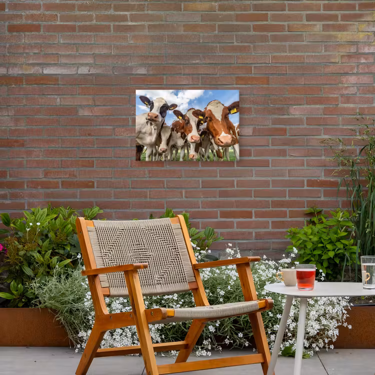 Bruin-witte koeien in de wei Tuinposter op houten frame 2 cm dik klein -sfeer3