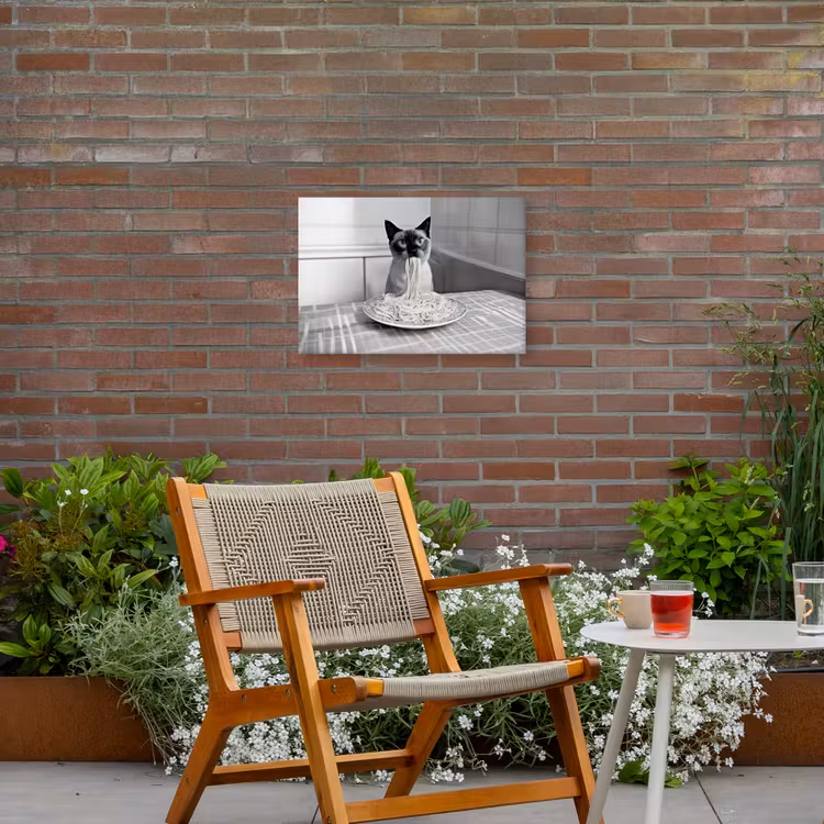 Kat - Siamees - Zwart Wit - Schattig - Dieren Tuinposter op houten frame 2 cm dik klein -sfeer3