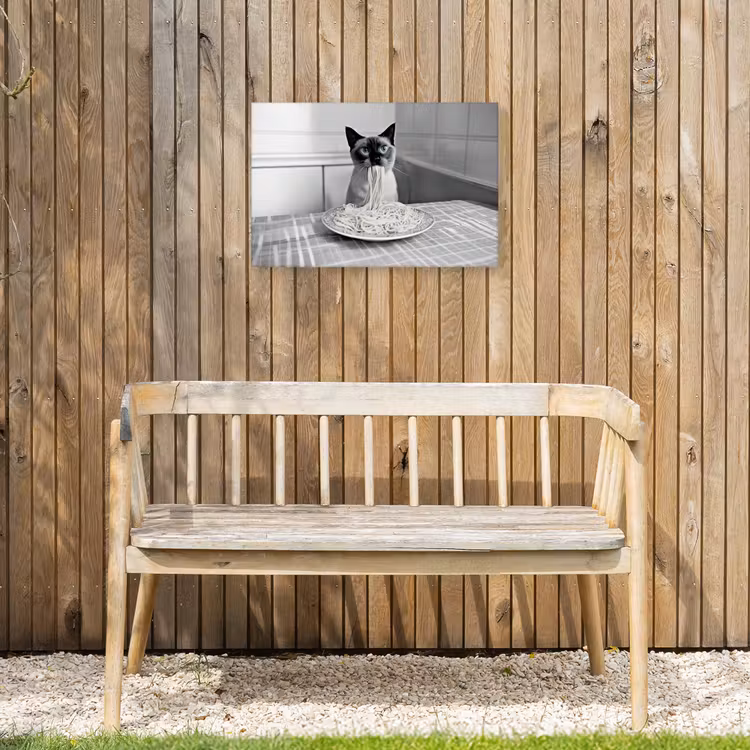 Kat - Siamees - Zwart Wit - Schattig - Dieren Tuinposter op houten frame 2 cm dik klein -sfeer4