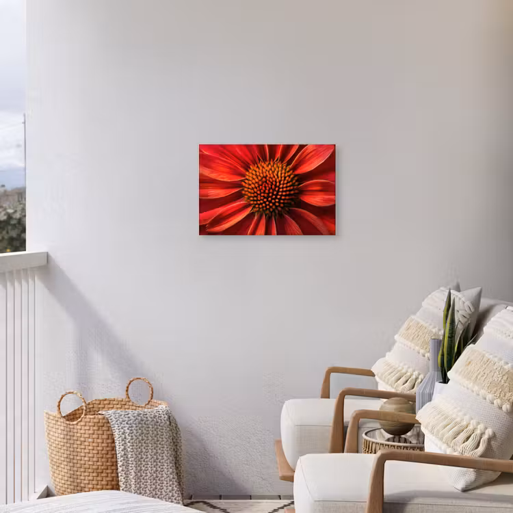 Close up - Bloem- Rood Tuinposter op houten frame 2 cm dik klein -sfeer1