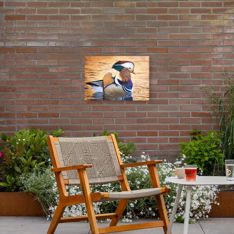 Close-up mandarijneend Tuinposter op houten frame 2 cm dik klein -sfeer3