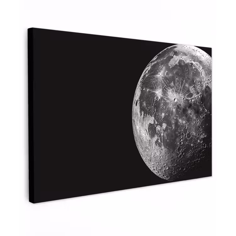 Close-up - Maan - Wit - Textuur Tuinposter op houten frame 2 cm dik klein -3d