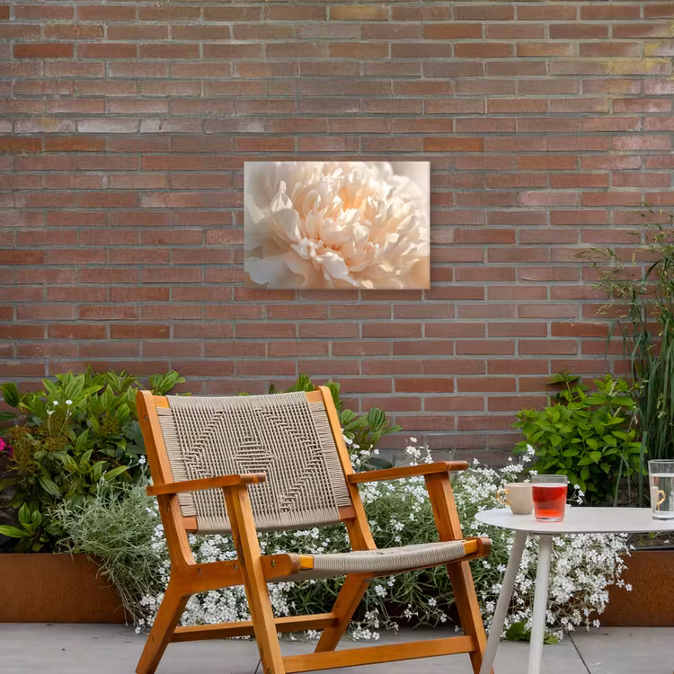 Close up - Pioenroos - Lichtroze Tuinposter op houten frame 2 cm dik klein -sfeer3