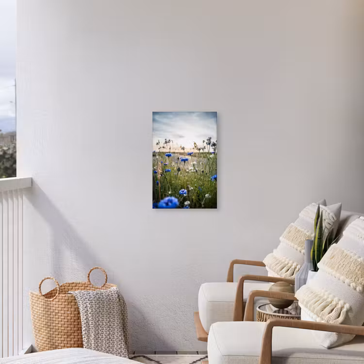 Korenbloemen bij zonsondergang Tuinposter op houten frame 2 cm dik klein -sfeer1