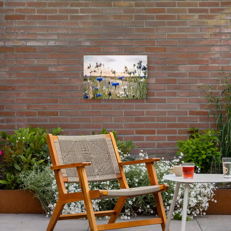 Korenbloemen in het avondlicht Tuinposter op houten frame 2 cm dik klein -sfeer3