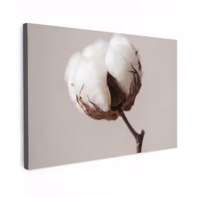 Katoenbol - Minimalistisch - Wit Tuinposter op houten frame 2 cm dik klein -3d