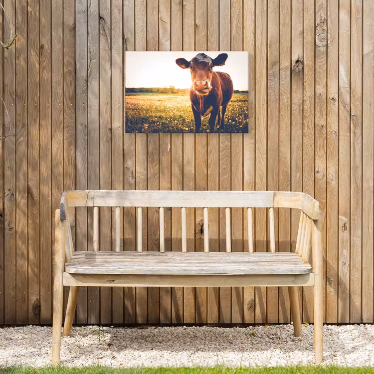 Koe bij zonsondergang op een veld vol paardenbloemen Tuinposter op houten frame 2 cm dik klein -sfeer4