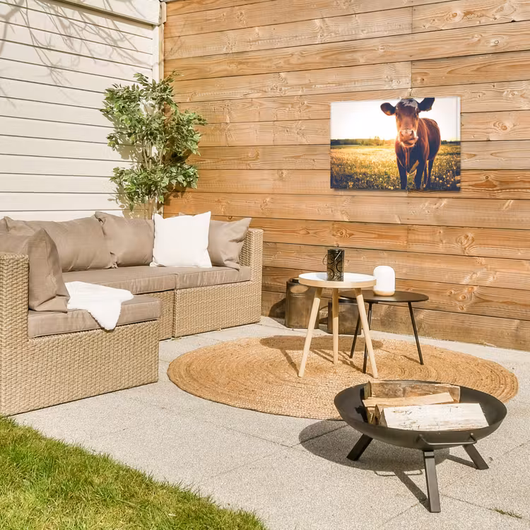 Koe bij zonsondergang op een veld vol paardenbloemen Tuinposter op houten frame 2 cm dik klein -sfeer2