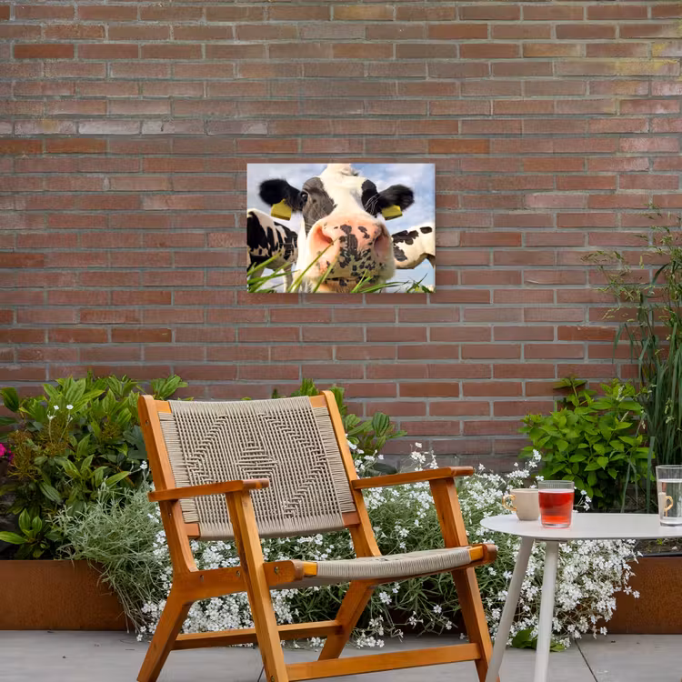 Koe - Boerderij - Gras - Dieren Tuinposter op houten frame 2 cm dik klein -sfeer3