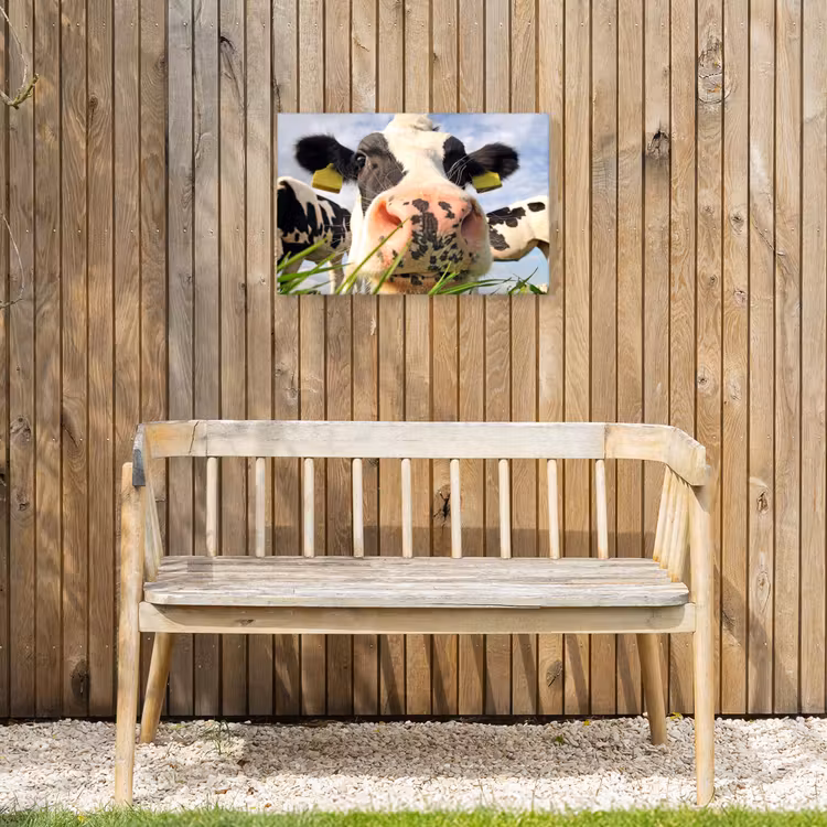 Koe - Boerderij - Gras - Dieren Tuinposter op houten frame 2 cm dik klein -sfeer4