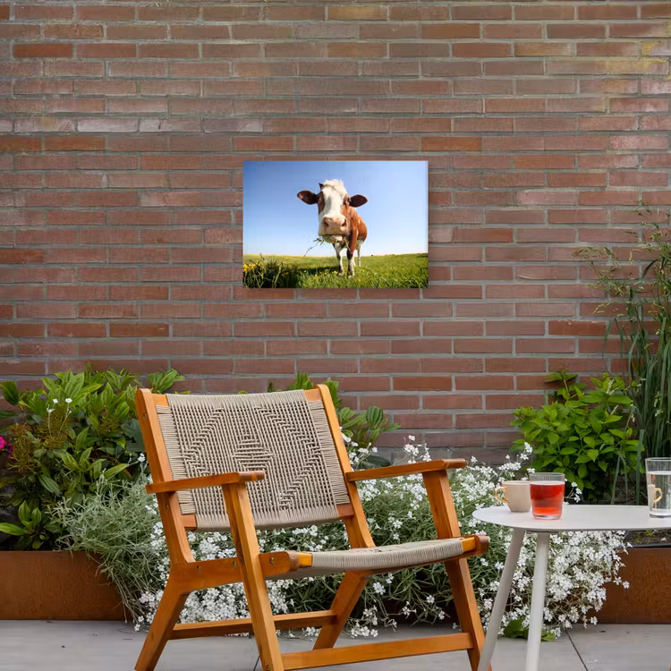 Koe in de Weide Tuinposter op houten frame 2 cm dik klein -sfeer3