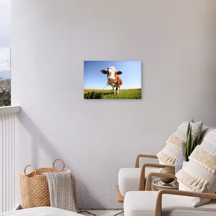 Koe in de Weide Tuinposter op houten frame 2 cm dik klein -sfeer1