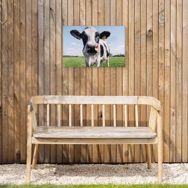 Koe - Weiland - Natuur - Dieren - Gras Tuinposter op houten frame 2 cm dik klein -sfeer4
