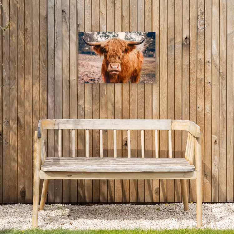 Koe- Schotse hooglander - Hoorns - Bruin - Landschap Tuinposter op houten frame 2 cm dik klein -sfeer4