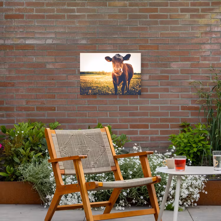 Koe - Zonsondergang - Bloemen - Gras - Dieren Tuinposter op houten frame 2 cm dik klein -sfeer3