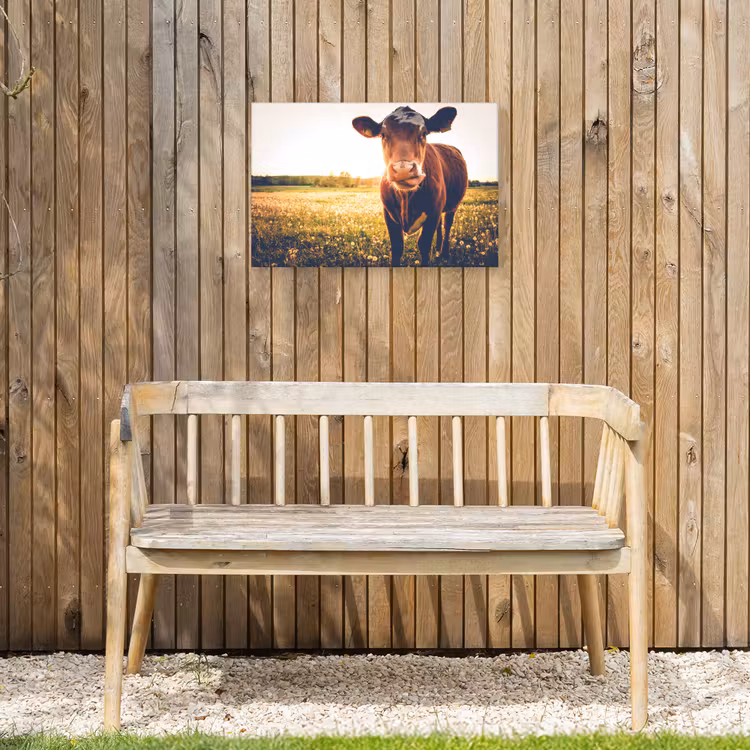 Koe - Zonsondergang - Bloemen - Gras - Dieren Tuinposter op houten frame 2 cm dik klein -sfeer4