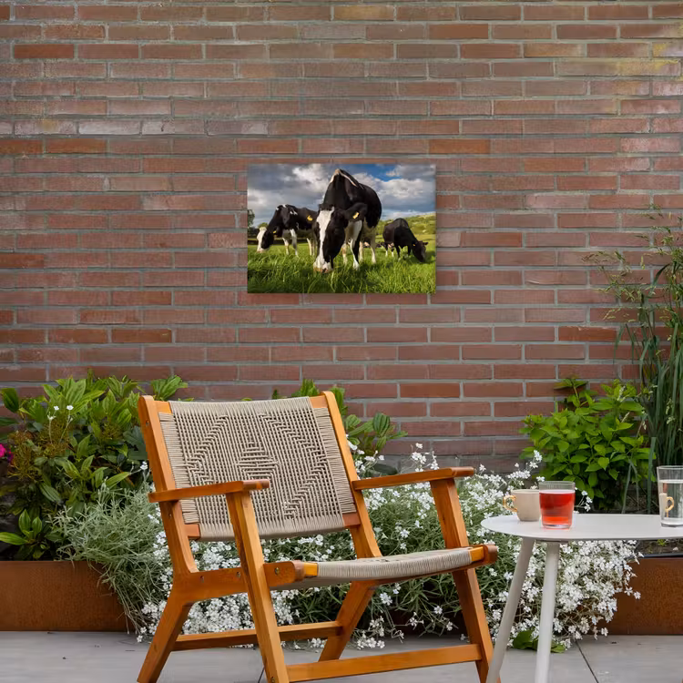 Koeien - Dieren - Gras - Weiland - Boerderij Tuinposter op houten frame 2 cm dik klein -sfeer3