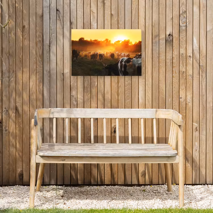 Koeien bij Zonsondergang Tuinposter op houten frame 2 cm dik klein -sfeer4