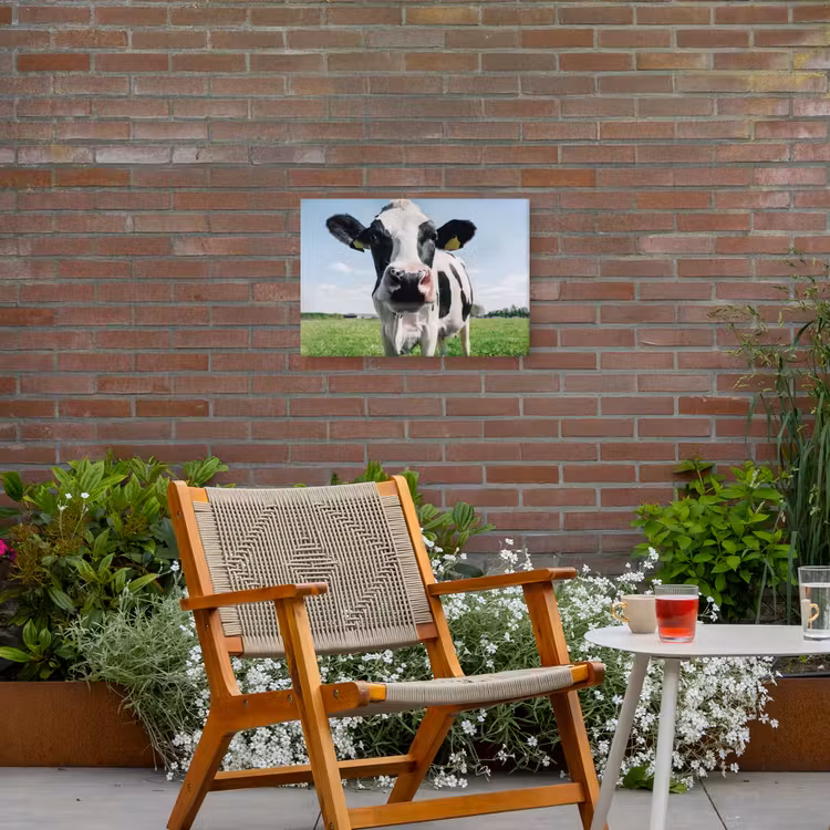 Koeien Close-up Tuinposter op houten frame 2 cm dik klein -sfeer3