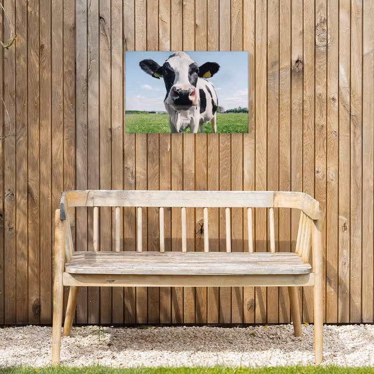 Koeien Close-up Tuinposter op houten frame 2 cm dik klein -sfeer4