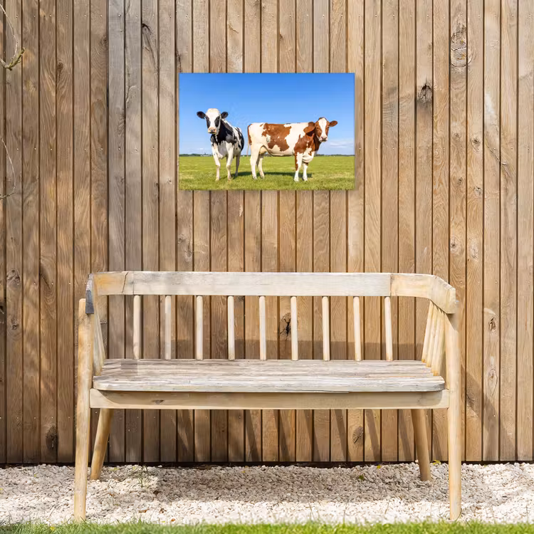 Koeien - Boerderij - Gras- Natuur - Dieren Tuinposter op houten frame 2 cm dik klein -sfeer4