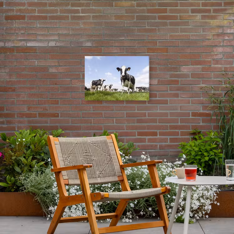 Koeien - Gras - Dieren - Zon - Boerderij Tuinposter op houten frame 2 cm dik klein -sfeer3