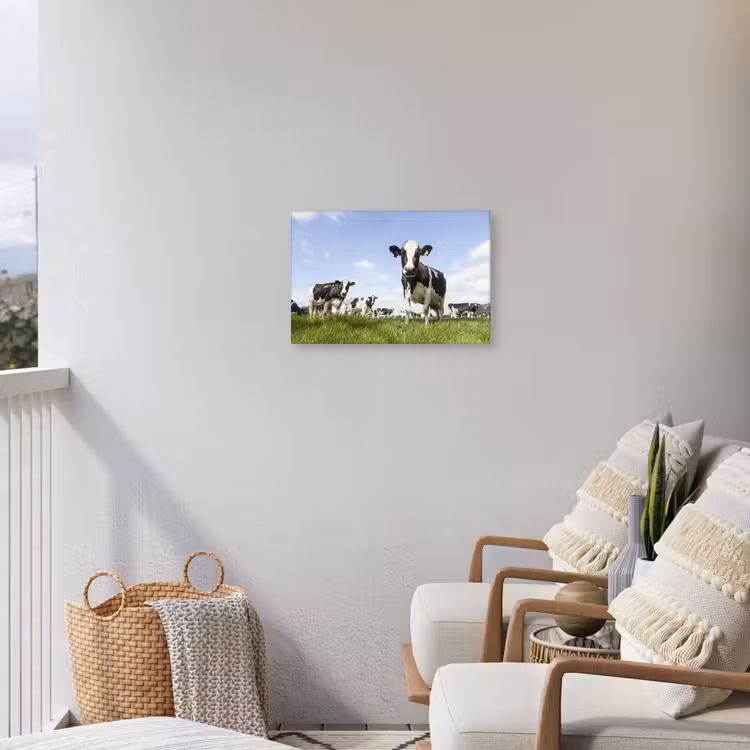 Koeien - Gras - Dieren - Zon - Boerderij Tuinposter op houten frame 2 cm dik klein -sfeer1