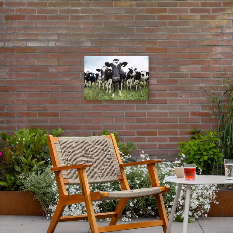 Koeien - Gras - Lente - Dieren - Weiland - Boerderij Tuinposter op houten frame 2 cm dik klein -sfeer3